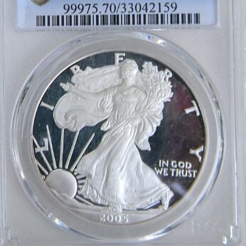 USA 2005W $1 Silver Eagle proof