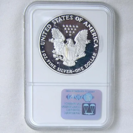 USA 1989S $1 Silver Eagle proof